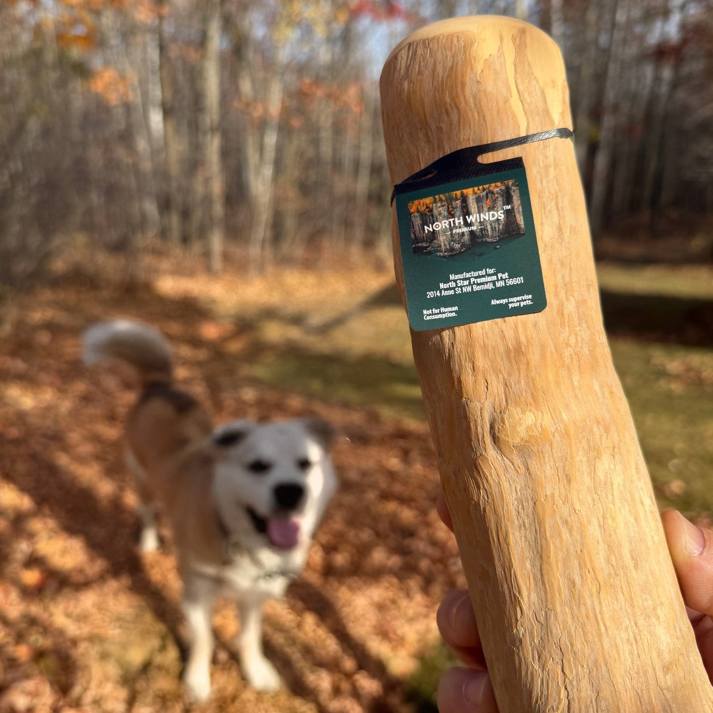North Winds Premium Timberborn Coffee Wood - Small Dog Chew, Case of 25