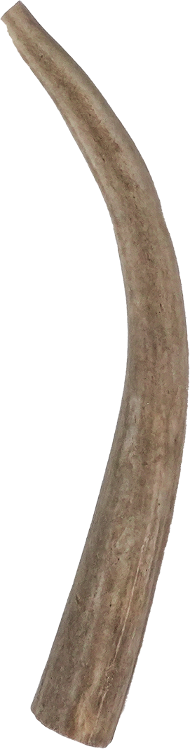 North Winds Premium Vista Point Deer Antler - Medium Dog Chew, Case of 25