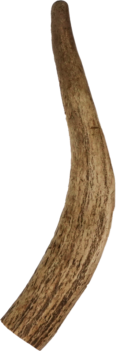 North Winds Premium Vista Point Elk Antler Whole - Medium Dog Chew, Case of 25