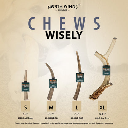 North Winds Premium Vista Point Deer Antler - Extra Large Dog Chew, Case of 15