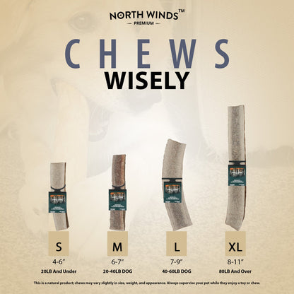 North Winds Premium Vista Point Elk Antler Split - Extra Large Dog Chew, Case of 25