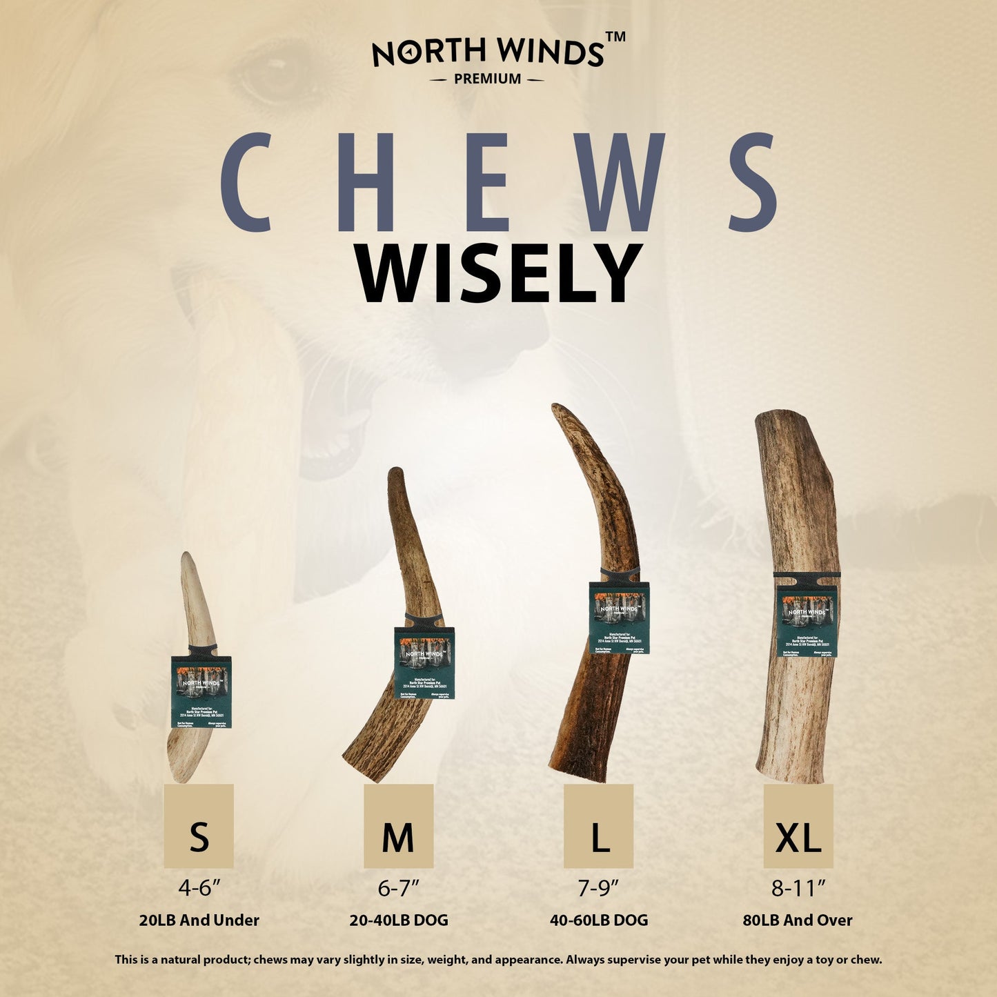 North Winds Premium Vista Point Elk Antler Whole - Small Dog Chew, Case of 25