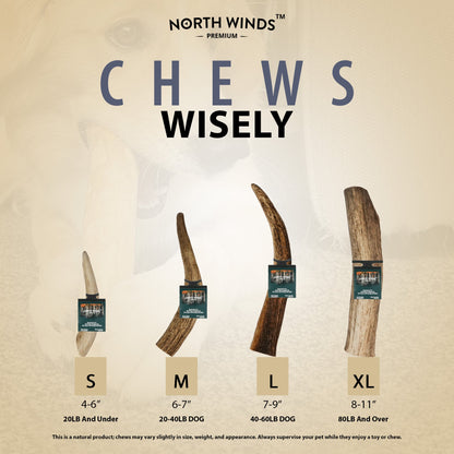 North Winds Premium Vista Point Elk Antler Whole - Medium Dog Chew, Case of 25