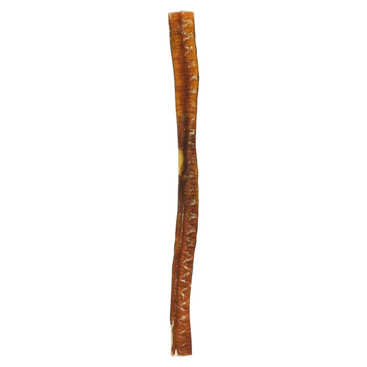 North Winds Premium Odorless Standard Bully Stick 10-12” Large USA Sourced Dog Chew, Case of 25