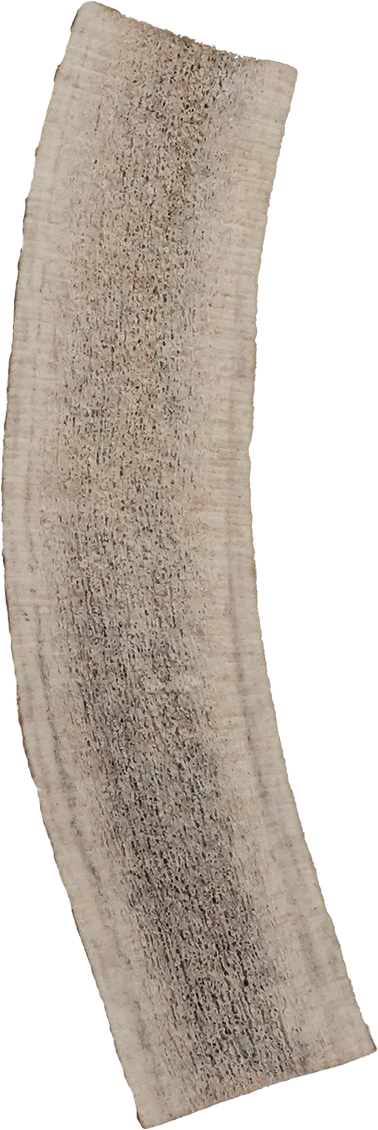 North Winds Premium Vista Point Elk Antler Split - Large Dog Chew, Case of 25