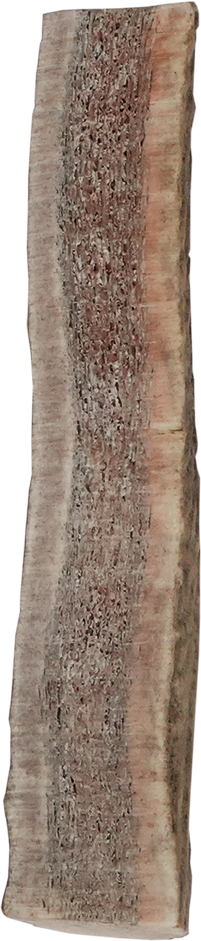 North Winds Premium Vista Point Elk Antler Split - Medium Dog Chew, Case of 25