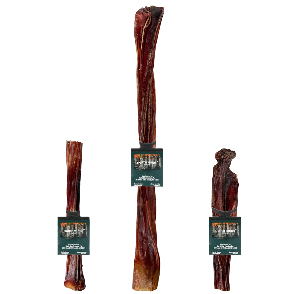 North Winds Premium Odorless Standard Bully Steer Stick 10-12” Large USA Sourced Dog Chew, Case of 25