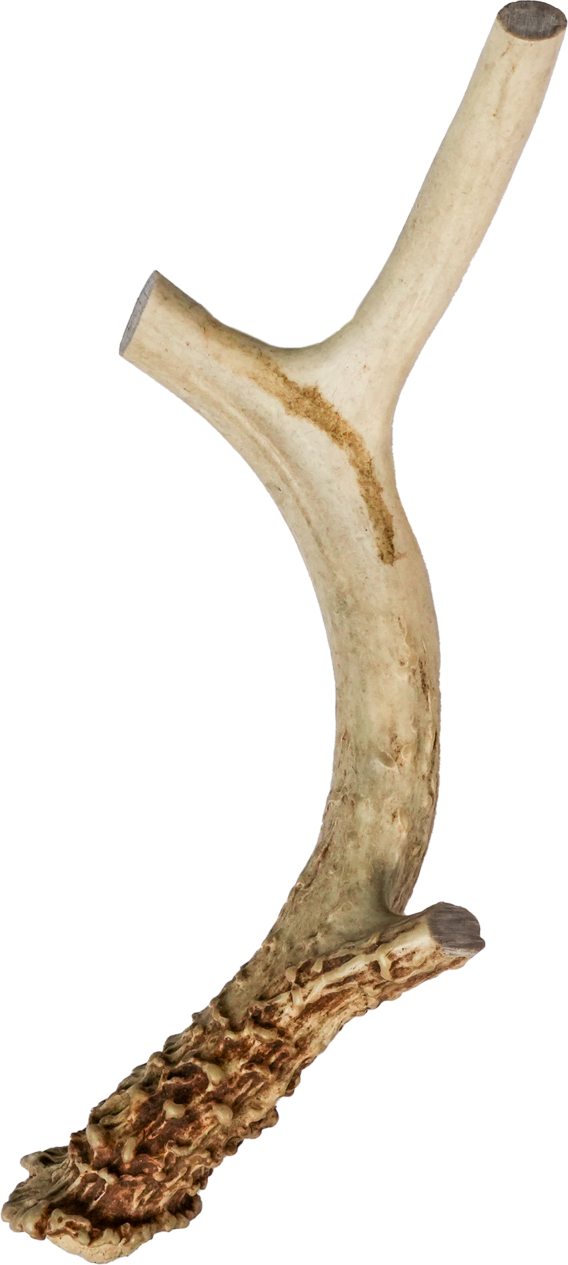 North Winds Premium Vista Point Deer Antler - Extra Large Dog Chew, Case of 15