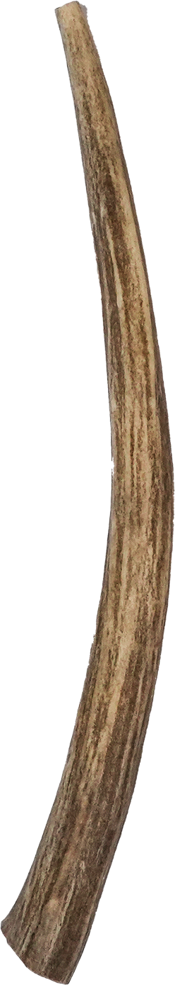 North Winds Premium Vista Point Deer Antler - Large Dog Chew, Case of 25