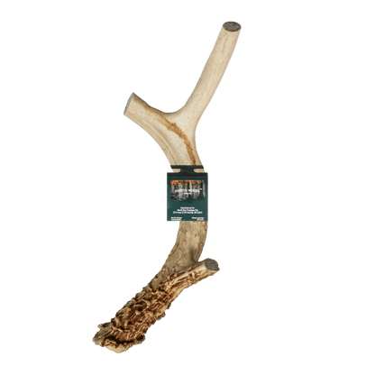 North Winds Premium Vista Point Deer Antler - Extra Large Dog Chew, Case of 15
