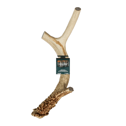 North Winds Premium Vista Point Deer Antler - Extra Large Dog Chew, Case of 15