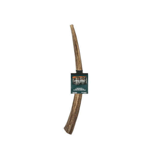 North Winds Premium Vista Point Deer Antler - Large Dog Chew, Case of 25