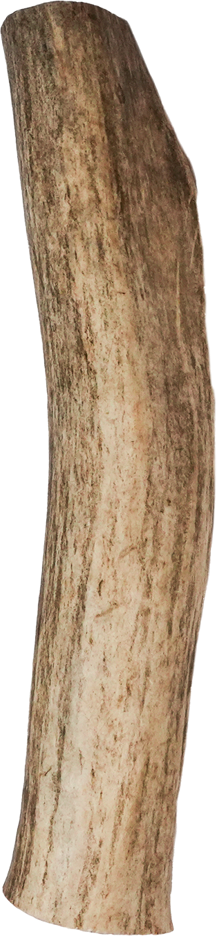 North Winds Premium Vista Point Elk Antler Whole - Extra Large Dog Chew, Case of 25
