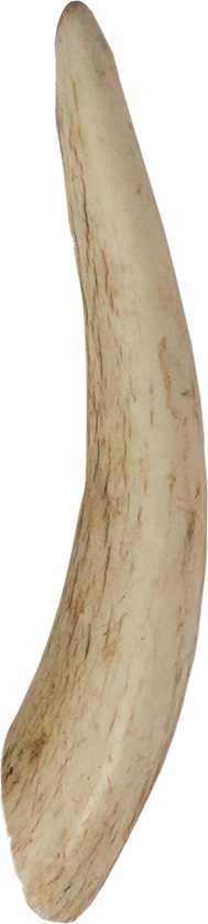 North Winds Premium Vista Point Elk Antler Whole - Small Dog Chew, Case of 25